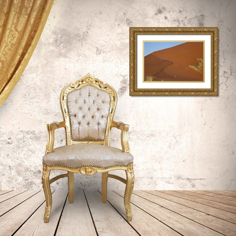 Namibia, Namib Desert, Grasses on sand dune Gold Ornate Wood Framed Art Print with Double Matting by Young, Bill
