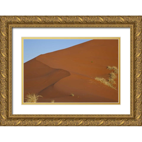 Namibia, Namib Desert, Grasses on sand dune Gold Ornate Wood Framed Art Print with Double Matting by Young, Bill