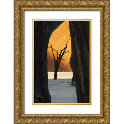 Trees and dunes, Dead Vlei, Sossusvlei, Namibia Gold Ornate Wood Framed Art Print with Double Matting by Kaveney, Wendy