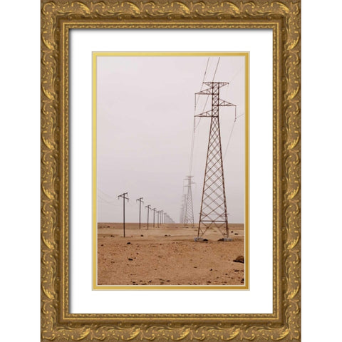 Namibia, Swakopmund Power and telephone lines Gold Ornate Wood Framed Art Print with Double Matting by Kaveney, Wendy