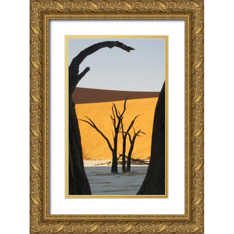 Trees and dunes, Dead Vlei, Sossusvlei, Namibia Gold Ornate Wood Framed Art Print with Double Matting by Kaveney, Wendy