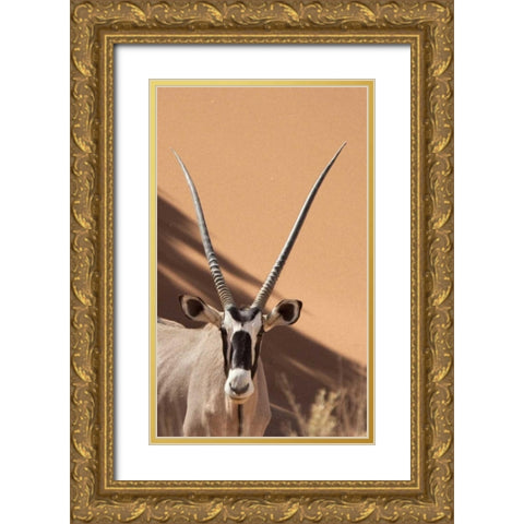 Namibia, Sossusvlei, Namib-Naukluft Park Oryx Gold Ornate Wood Framed Art Print with Double Matting by Kaveney, Wendy