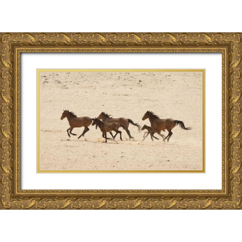 Namibia, Aus Group of running wild horses Gold Ornate Wood Framed Art Print with Double Matting by Kaveney, Wendy