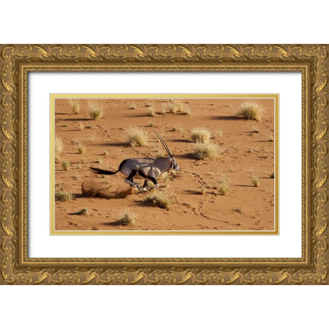 Namibia, Sossusvlei Aerial of running oryx Gold Ornate Wood Framed Art Print with Double Matting by Kaveney, Wendy