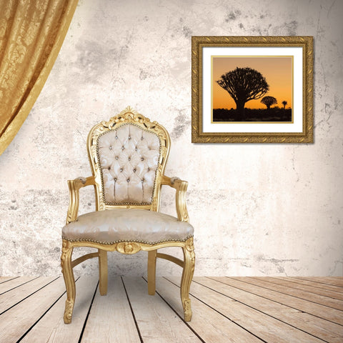 Africa, Namibia Quiver trees at twilight Gold Ornate Wood Framed Art Print with Double Matting by Kaveney, Wendy