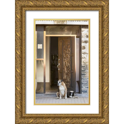 Africa, Namibia Dogs at door entrance Gold Ornate Wood Framed Art Print with Double Matting by Kaveney, Wendy