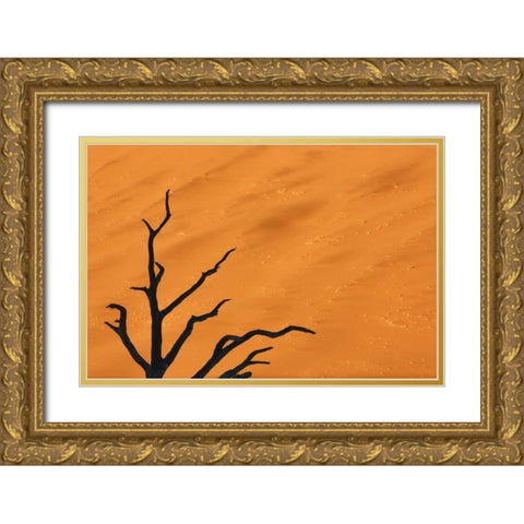 Namibia, Dead Vlei Tree branches and sand dune Gold Ornate Wood Framed Art Print with Double Matting by Kaveney, Wendy