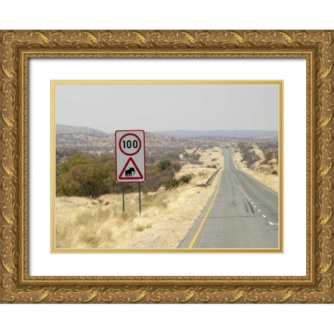 Namibia, Etosha NP Speed limit and caution sign Gold Ornate Wood Framed Art Print with Double Matting by Kaveney, Wendy