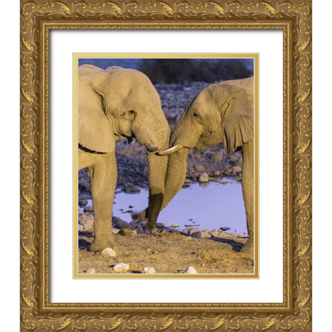 Namibia, Etosha NP Elephants greeting at dusk Gold Ornate Wood Framed Art Print with Double Matting by Kaveney, Wendy