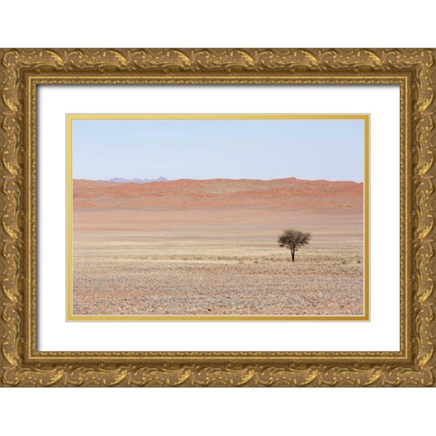 Namibia, Namib Desert Lone tree in orange desert Gold Ornate Wood Framed Art Print with Double Matting by Kaveney, Wendy