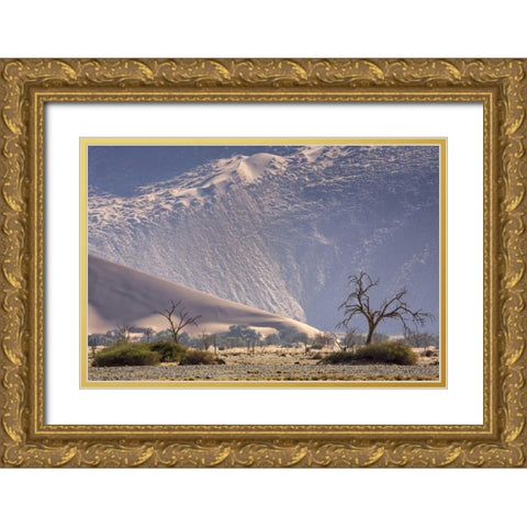 Namibia, Namib-Naukluft Sand dunes and trees Gold Ornate Wood Framed Art Print with Double Matting by Kaveney, Wendy