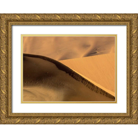 Namibia, Namib-Naukluft Park Abstract sand dunes Gold Ornate Wood Framed Art Print with Double Matting by Kaveney, Wendy