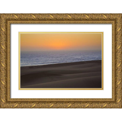Namibia, Namib Desert, Swakopmund Skeleton Coast Gold Ornate Wood Framed Art Print with Double Matting by Kaveney, Wendy