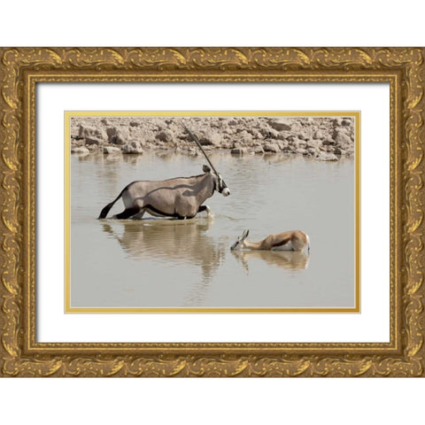 Namibia, Etosha NP Oryx and springbok wading Gold Ornate Wood Framed Art Print with Double Matting by Kaveney, Wendy