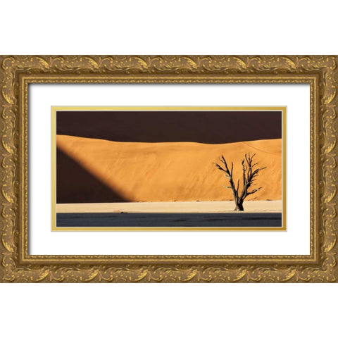 Namibia, Dead Vlei Dead tree illuminated by sun Gold Ornate Wood Framed Art Print with Double Matting by Kaveney, Wendy