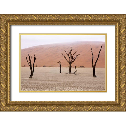 Namibia, Namib-Naukluft, Deadvlei Misty Morning Gold Ornate Wood Framed Art Print with Double Matting by Kaveney, Wendy
