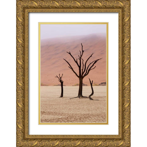 Namibia, Namib-Naukluft, Deadvlei Misty Morning Gold Ornate Wood Framed Art Print with Double Matting by Kaveney, Wendy
