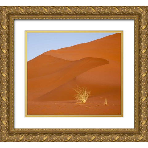 Namibia, Namib-Naukluft Park Grass and sand dune Gold Ornate Wood Framed Art Print with Double Matting by Kaveney, Wendy