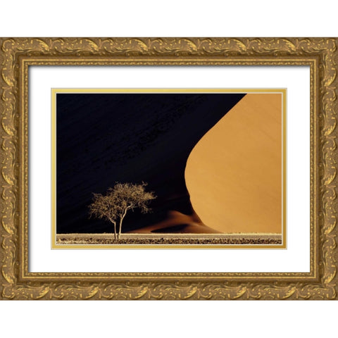 Namibia, Namib-Naukluft Park Red sand dunes Gold Ornate Wood Framed Art Print with Double Matting by Kaveney, Wendy
