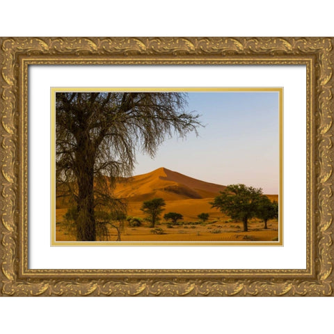 Namibia, Namib-Naukluft NP Trees and sand dune Gold Ornate Wood Framed Art Print with Double Matting by Young, Bill