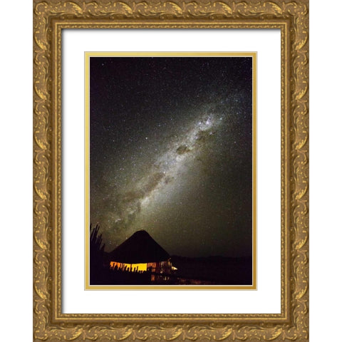 Africa, Namibia Milky Way and night sky Gold Ornate Wood Framed Art Print with Double Matting by Young, Bill