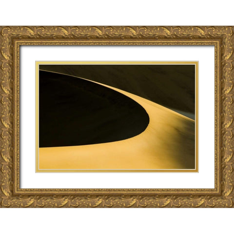 Namibia Abstract of sand dune near Walvis Bay Gold Ornate Wood Framed Art Print with Double Matting by Young, Bill