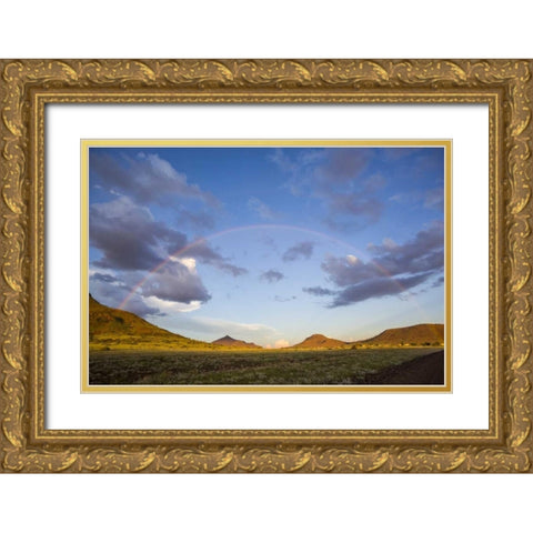 Africa, Namibia Landscape with full rainbow Gold Ornate Wood Framed Art Print with Double Matting by Young, Bill