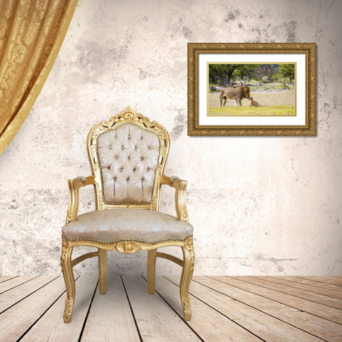 Namibia, Etosha NP Alpha male lion inspects cub Gold Ornate Wood Framed Art Print with Double Matting by Young, Bill