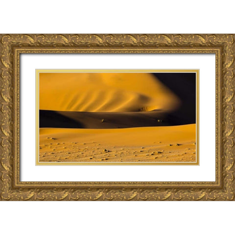 Namibia, Namib-Naukluft NP Abstract of sand dune Gold Ornate Wood Framed Art Print with Double Matting by Young, Bill