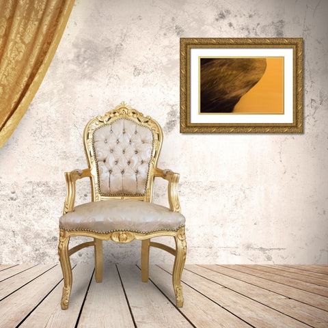 Namibia, Namib-Naukluft NP Blowing sand on dune Gold Ornate Wood Framed Art Print with Double Matting by Young, Bill