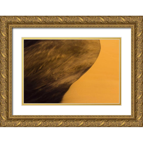 Namibia, Namib-Naukluft NP Blowing sand on dune Gold Ornate Wood Framed Art Print with Double Matting by Young, Bill