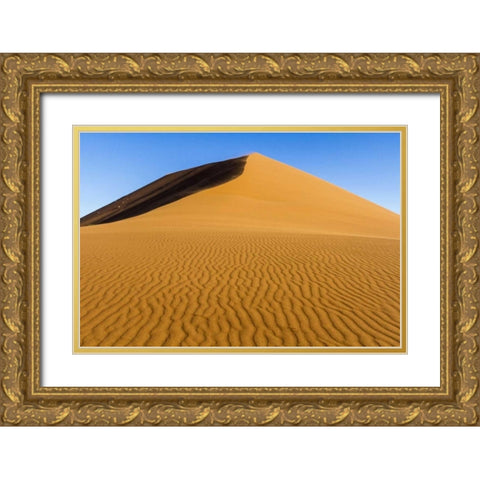 Namibia, Namib-Naukluft NP Patterns in sand dune Gold Ornate Wood Framed Art Print with Double Matting by Young, Bill