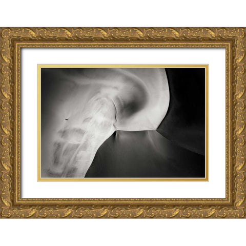 Namibia, Namib-Naukluft NP Aerial of sand dunes Gold Ornate Wood Framed Art Print with Double Matting by Young, Bill