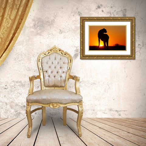Namibia Cheetah silhouette at sunset Gold Ornate Wood Framed Art Print with Double Matting by Jaynes Gallery