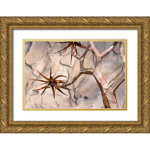 Africa-Namibia-Quiver tree and bark photo montage Gold Ornate Wood Framed Art Print with Double Matting by Jaynes Gallery