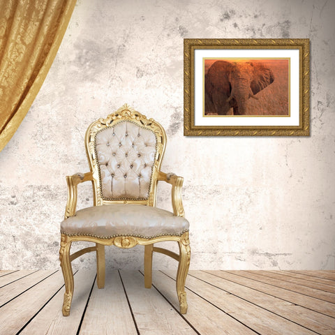 Africa-Namibia-Montage of elephant at sunrise Gold Ornate Wood Framed Art Print with Double Matting by Jaynes Gallery