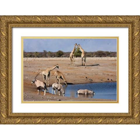 Namibia, Etosha NP Oryx and giraffe at Chudop Gold Ornate Wood Framed Art Print with Double Matting by Young, Bill
