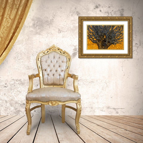South Richtersveld NP Quiver tree Gold Ornate Wood Framed Art Print with Double Matting by Young, Bill