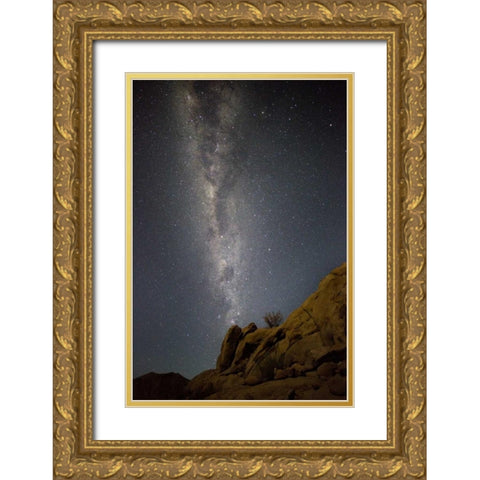 South Richtersveld NP Milky Way at night Gold Ornate Wood Framed Art Print with Double Matting by Young, Bill