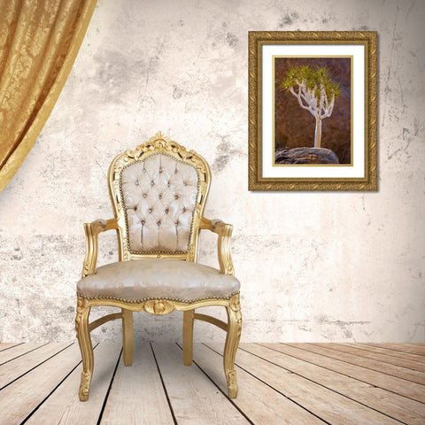 South Richtersveld NP Quiver tree and boulders Gold Ornate Wood Framed Art Print with Double Matting by Young, Bill