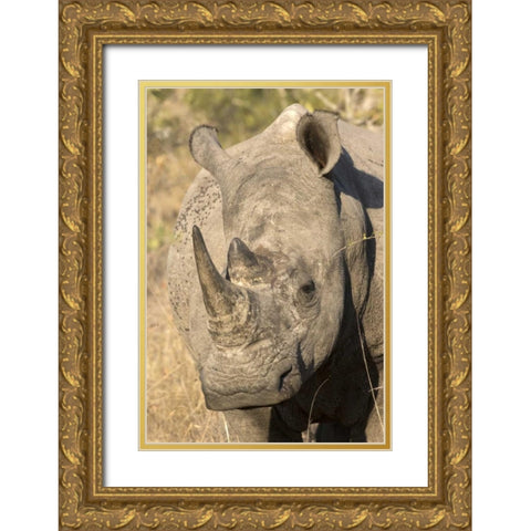 Hawaii Waves breaking on a black sand beach Gold Ornate Wood Framed Art Print with Double Matting by Zuckerman, Jim