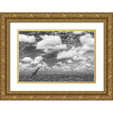 Masai Giraffe on open plains of Serengeti National Park-Tanzania-Africa-Giraffa Gold Ornate Wood Framed Art Print with Double Matting by Jones, Adam