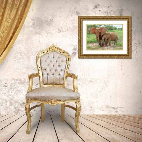 Africa-Tanzania-Tarangire National Park African elephant adult and baby  Gold Ornate Wood Framed Art Print with Double Matting by Jaynes Gallery