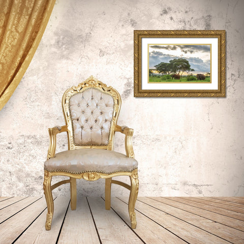 Africa-Tanzania-Tarangire National Park African elephants at sunset  Gold Ornate Wood Framed Art Print with Double Matting by Jaynes Gallery