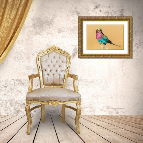 Africa-Tanzania-Serengeti National Park Lilac-breasted roller bird close-up  Gold Ornate Wood Framed Art Print with Double Matting by Jaynes Gallery