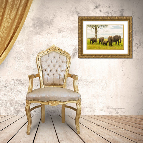 Africa-Tanzania-Tarangire National Park African elephant adults and young  Gold Ornate Wood Framed Art Print with Double Matting by Jaynes Gallery