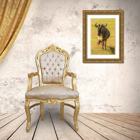 Africa-Tanzania-Ngorongoro Crater White bearded wildebeest close-up  Gold Ornate Wood Framed Art Print with Double Matting by Jaynes Gallery
