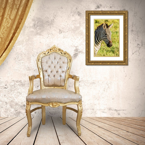 Africa-Tanzania-Ngorongoro Crater Plains zebra head  Gold Ornate Wood Framed Art Print with Double Matting by Jaynes Gallery
