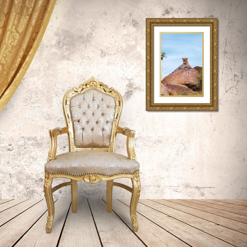 Africa-Tanzania-Serengeti National Park Leopard resting on boulder  Gold Ornate Wood Framed Art Print with Double Matting by Jaynes Gallery