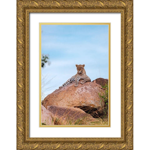Africa-Tanzania-Serengeti National Park Leopard resting on boulder  Gold Ornate Wood Framed Art Print with Double Matting by Jaynes Gallery